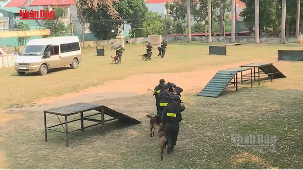 [Video] Những "chiến sĩ đặc biệt" trên trận tuyến bảo vệ ngày hội non sông 