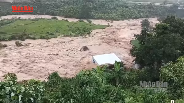 [Video] Mưa lũ làm sạt lở nhiều tuyến đường, hư hại tài sản tại Lai Châu