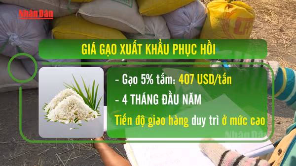 [Video] Giá gạo xuất khẩu phục hồi, rau quả hướng tới mục tiêu 10 tỷ USD