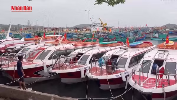 [Video] Hàng loạt ca nô và tàu du lịch tại Phú Quốc tạm dừng hoạt động