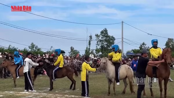 [Video] Sôi động hội đua ngựa gò Thì Thùng đầu Xuân Bính Ngọ
