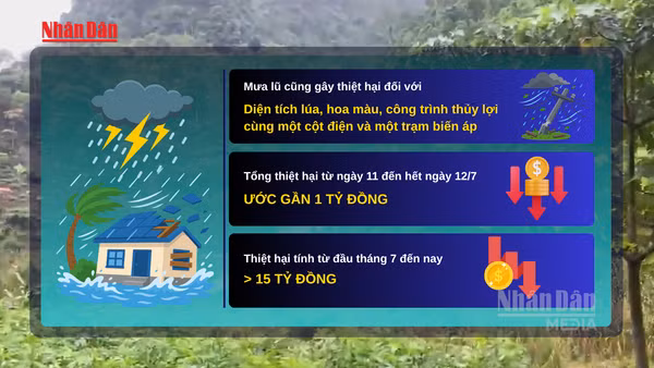 [Video] Mưa lớn tiếp tục gây thiệt hại tại Điện Biên, tổng thiệt hại vượt 15 tỷ đồng