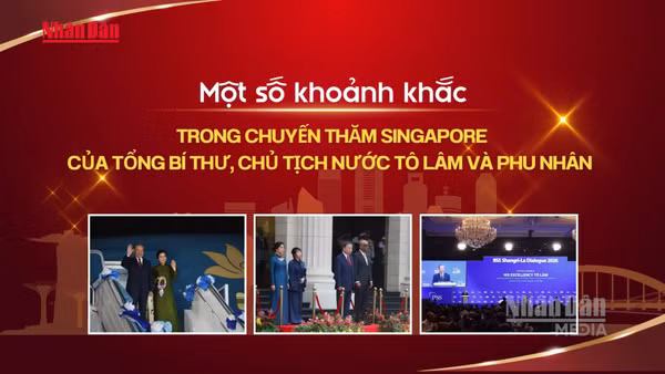 [Video] Một số khoảnh khắc trong chuyến thăm Singapore của Tổng Bí thư, Chủ tịch nước Tô Lâm và Phu nhân