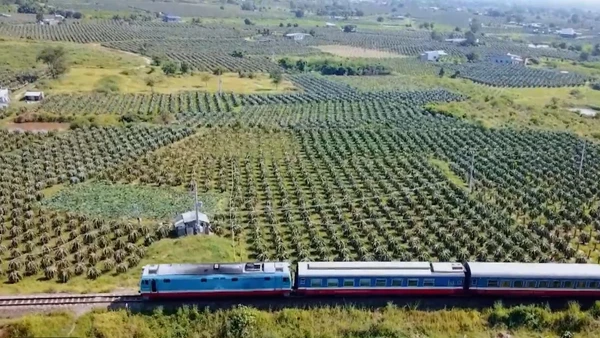[Video] Đường sắt chủ động tăng tàu phục vụ Tết tuyến miền Trung
