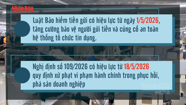[Video] Nhiều chính sách kinh tế quan trọng có hiệu lực từ tháng 5/2026