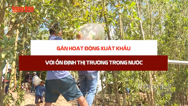 [Video] Tăng cường theo dõi cung - cầu, giá lúa gạo, bảo đảm ổn định thị trường