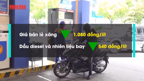 [Video] Đề xuất giảm 50% thuế bảo vệ môi trường đối với xăng, dầu