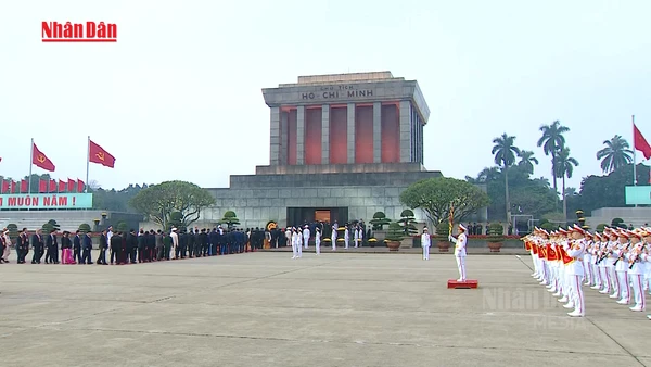 [Video] Đại biểu dự Đại hội XIV vào Lăng viếng Chủ tịch Hồ Chí Minh
