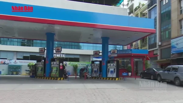 [Video] Tăng cường kiểm tra, giám sát hoạt động kinh doanh xăng dầu