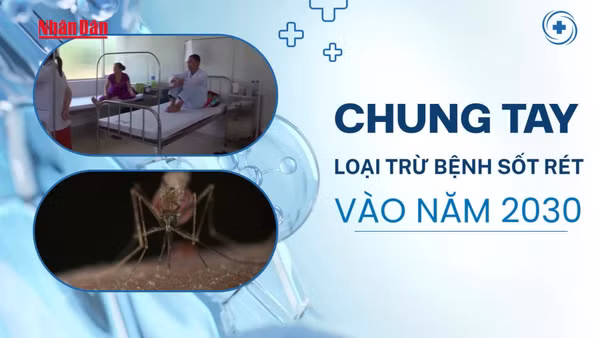 [Video] Nhân Ngày Thế giới phòng, chống sốt rét (25/4) - Chung tay loại trừ bệnh sốt rét vào năm 2030