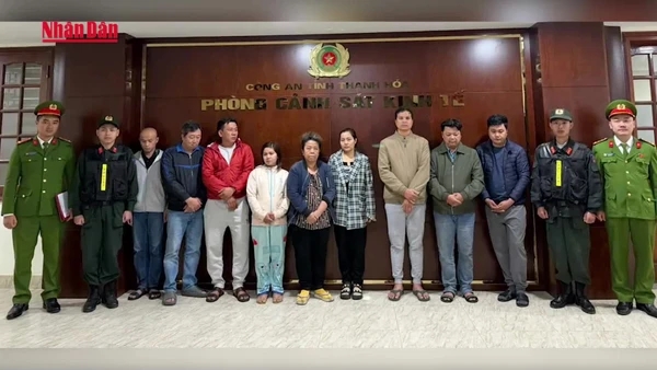 [Video] Triệt phá đường dây sản xuất thuốc và thực phẩm chức năng giả quy mô lớn