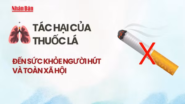 [Video] Tác hại của thuốc lá đến sức khỏe người hút và toàn xã hội