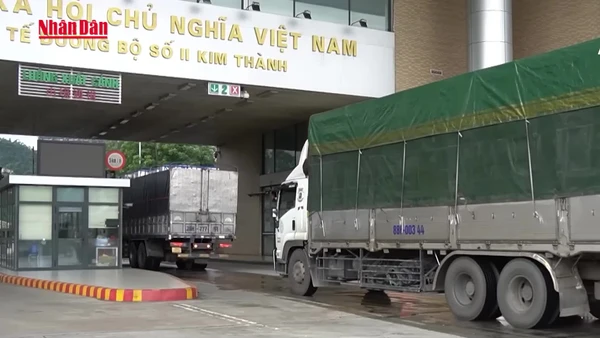 [Video] Khẩn trương hướng dẫn kiểm tra thực phẩm nhập khẩu, không để ách tắc