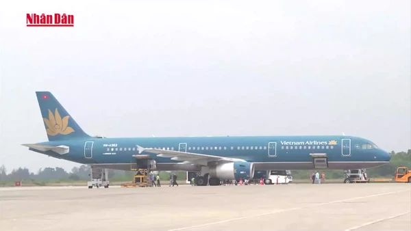 [Video] Yêu cầu siết chặt phòng, chống virus Nipah tại sân bay