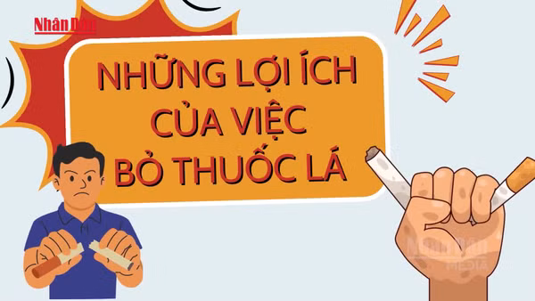 [Video] Hưởng ứng Ngày Thế giới không thuốc lá 31/5, Tuần lễ Quốc gia không thuốc lá 25-31/5/2026 - Những lợi ích của việc bỏ thuốc lá