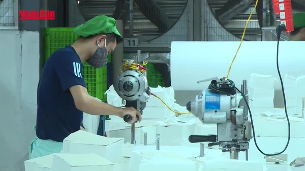 [Video] Hơn 61% người đề nghị hưởng trợ cấp thất nghiệp không có bằng cấp, chứng chỉ