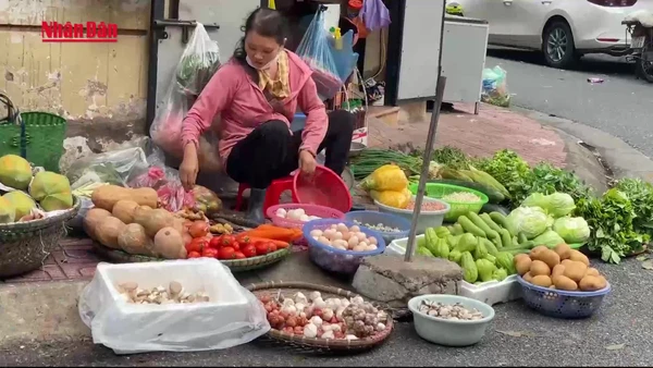 [Video] Bộ Y tế yêu cầu bảo đảm an toàn thực phẩm trong phòng chống virus Nipah