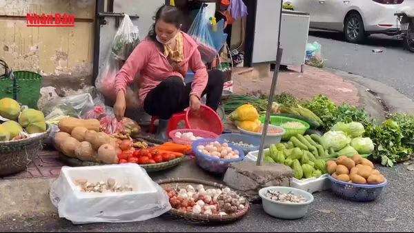 [Video] Bộ Y tế yêu cầu bảo đảm an toàn thực phẩm trong phòng chống virus Nipah