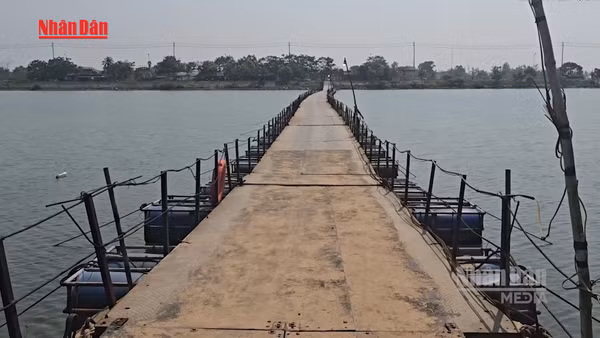 [Video] Cầu phao ở Quảng Trị hoạt động trở lại sau 2 tuần tạm dừng hoạt động