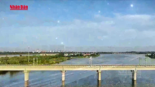 [Video] Nghiên cứu phương án làm đường sắt Bến Thành - Cần Giờ đi ngầm qua khu Nhà Rồng - Khánh Hội