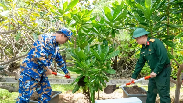 Thượng tá Nguyễn Duy Bá - Chủ nhiệm Chính trị Lữ đoàn 146 (bên trái) trồng cây lưu niệm trên đảo Song Tử Tây trong chuyến công tác đầu tháng 1/2026.