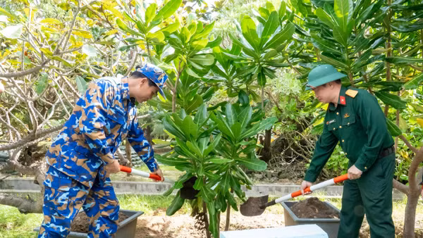 Thượng tá Nguyễn Duy Bá - Chủ nhiệm Chính trị Lữ đoàn 146 (bên trái) trồng cây lưu niệm trên đảo Song Tử Tây trong chuyến công tác đầu tháng 1/2026.