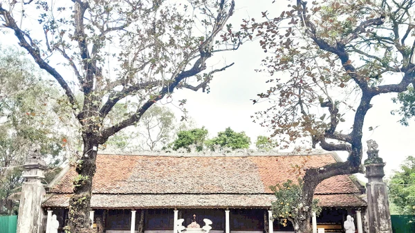 Chính điện Thái miếu nhà Hậu Lê.