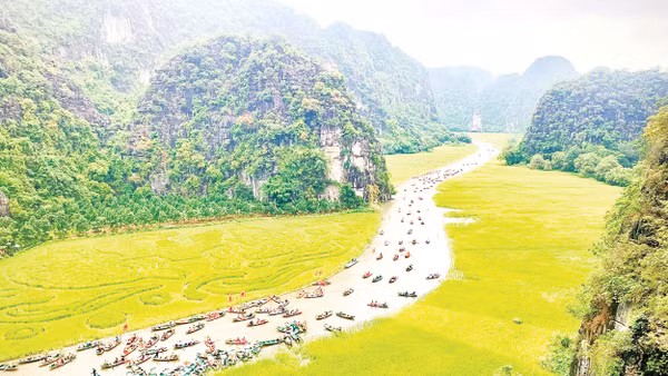 Rực rỡ Lễ hội Sắc vàng Tam Cốc 2025.