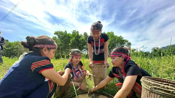 Việc ban hành chính sách đất đai dành riêng cho đồng bào dân tộc thiểu số tại Đà Nẵng sau sáp nhập là cần thiết.