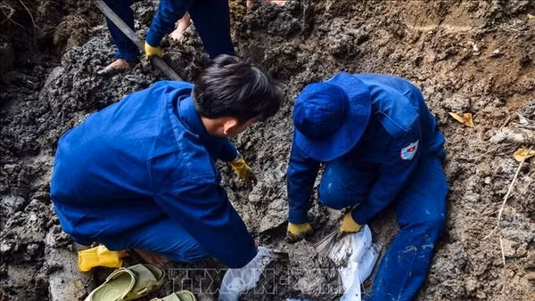 Hài cốt liệt sĩ được Đội K91 (Bộ Chỉ huy Quân sự tỉnh Đồng Tháp) tìm thấy trên địa bàn xã Phú Hựu. Ảnh: TTXVN