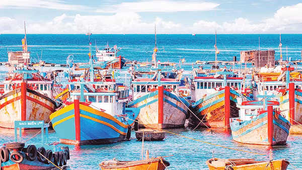 Nhiều tàu cá ở miền trung đã sử dụng công nghệ để ra khơi khai thác hải sản hiệu quả và bền vững. Ảnh: Ng Lân