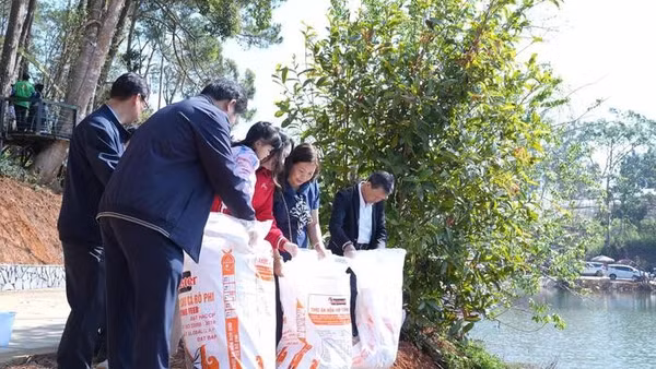 Trung tâm Cung ứng dịch vụ công xã Măng Đen đã thả 5.000 cá koi, cá lăng giống xuống hồ Đăk Ke.