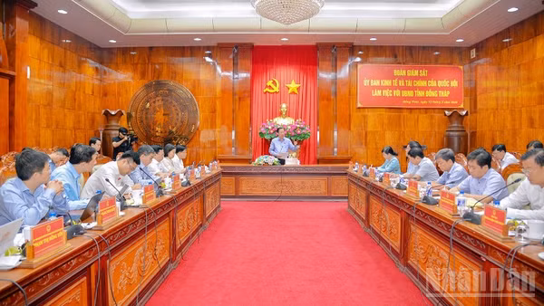 Đồng chí Phan Văn Mãi phát biểu tại buổi giám sát.