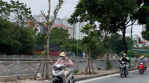 Ảnh minh họa: Đ.T