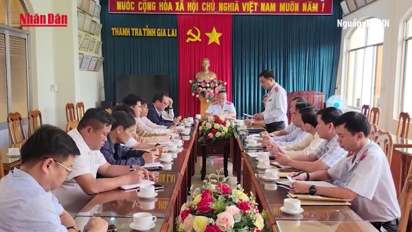[Video] Thanh tra toàn diện Công ty TNHH Một thành viên cà phê Gia Lai