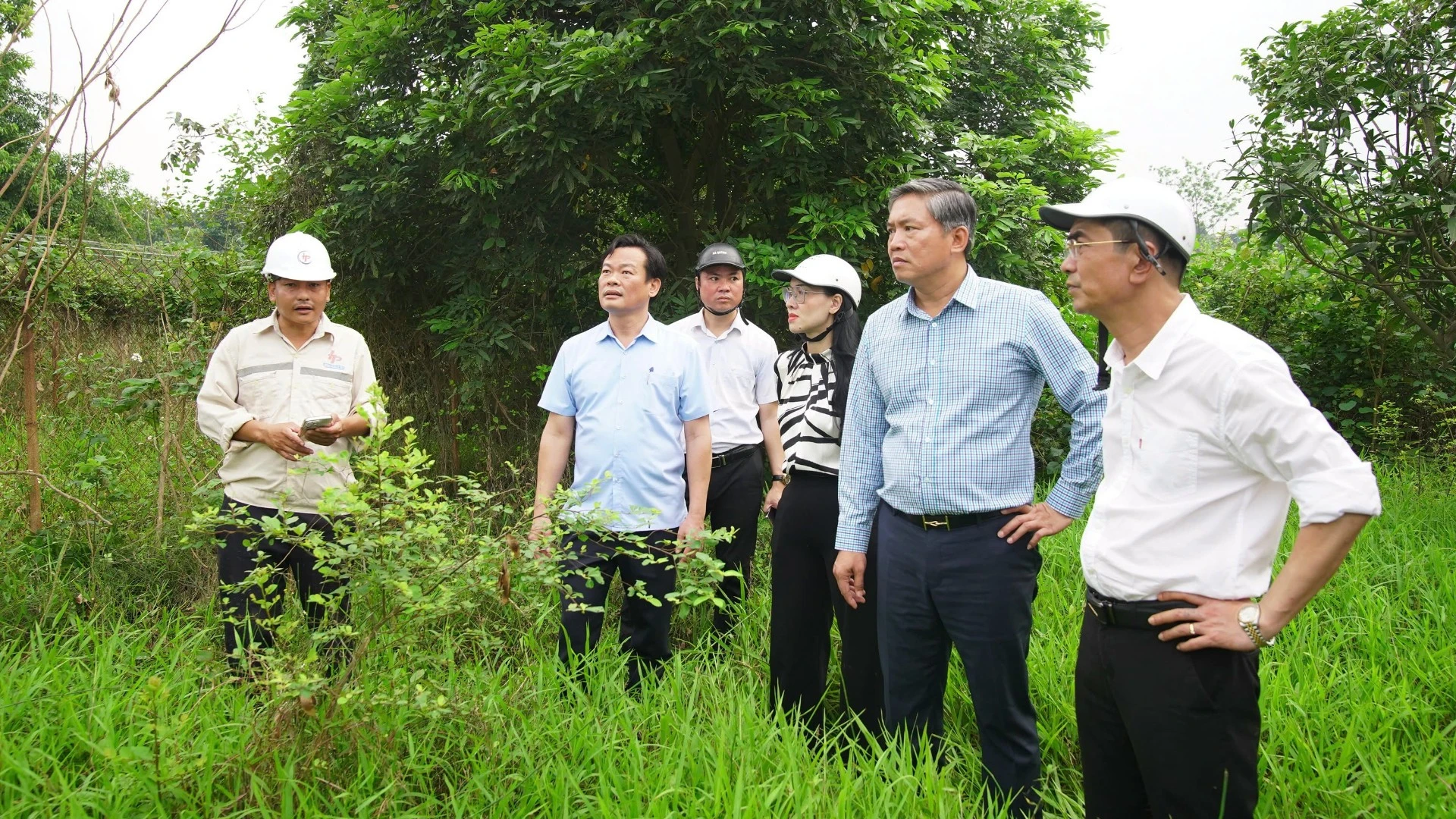 Cầu Tứ Liên: Tiến độ giải phóng mặt bằng đạt hơn 35%, người dân đồng thuận bàn giao đất