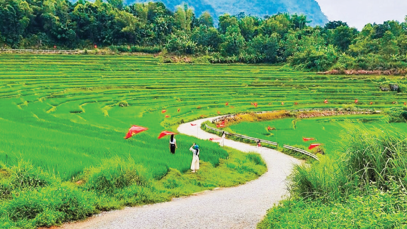 Du khách check-in cùng những thửa ruộng bậc thang xanh mướt ở Pù Luông, Thanh Hóa. (Ảnh: HUYỀN PHẠM)