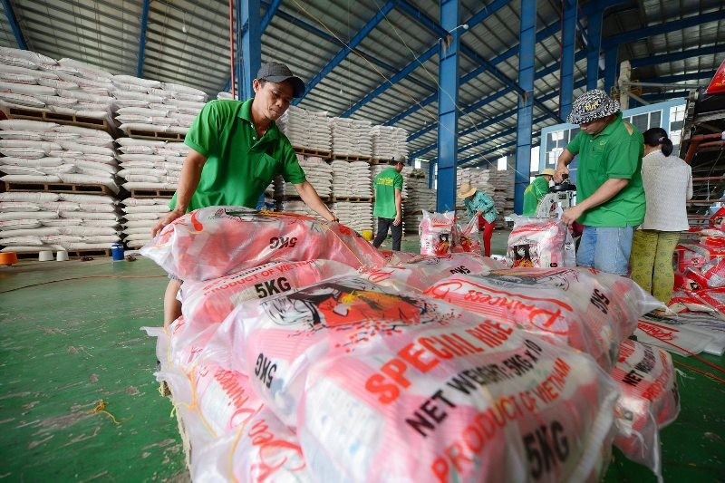 Đóng gói gạo xuất khẩu tại Công ty TNHH Chơn Chính, Đồng Tháp. (Ảnh: ĐỨC ANH)