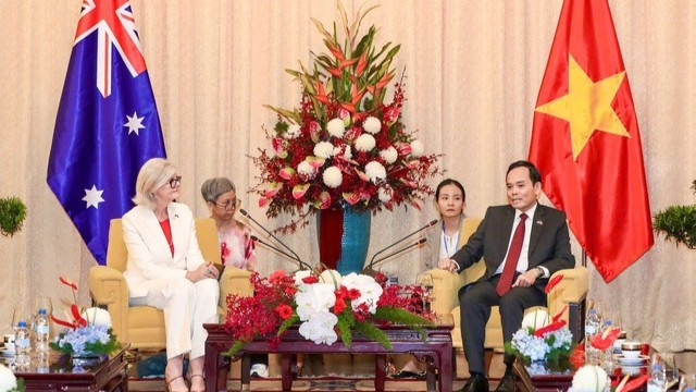 Bí thư Thành ủy Thành phố Hồ Chí Minh Trần Lưu Quang hội kiến Toàn quyền Australia Sam Mostyn. (Ảnh: VGP)
