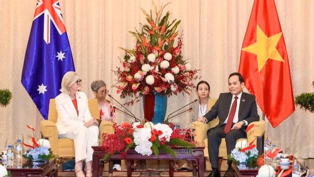 Bí thư Thành ủy Thành phố Hồ Chí Minh Trần Lưu Quang hội kiến Toàn quyền Australia Sam Mostyn. (Ảnh: VGP)