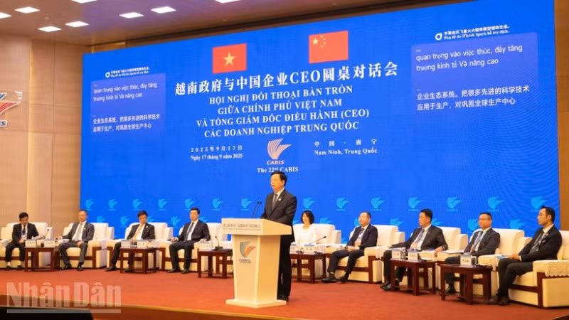 Phó Thủ tướng Chính phủ Mai Văn Chính phát biểu tại hội nghị.