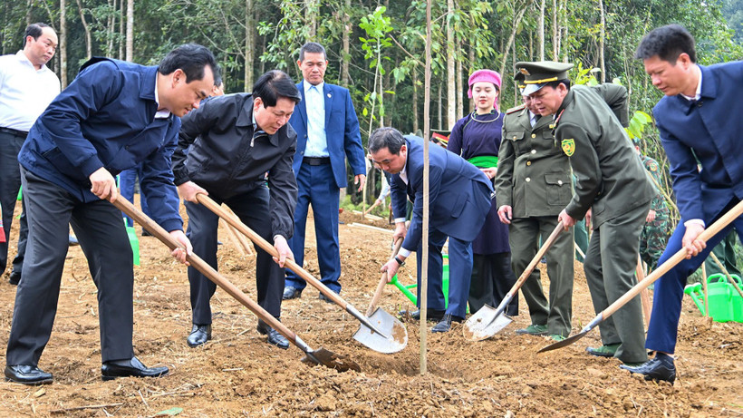 Chủ tịch nước Lương Cường và các đại biểu trồng cây tại khu vực thực hiện dự án Công viên văn hóa Lào Cai thuộc phường Cam Đường. (Ảnh: THỦY NGUYÊN)