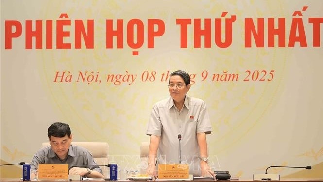  Phó Chủ tịch Quốc hội Nguyễn Đức Hải phát biểu. (Ảnh: TTXVN)
