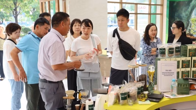 Người tiêu dùng tham quan, mua sắm các sản phẩm tiêu biểu tỉnh Quảng Trị được trưng bày tại Thành phố Hồ Chí Minh.