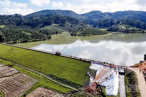 Khu vực xảy ra sạt trượt tại đập chính hồ thủy lợi Cay An đã được lực lượng chức năng xử lý đóng cừ tràm, gia cố đất và phủ bạt. 