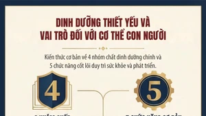[Infographic] Cơ thể con người cần các chất dinh dưỡng nào và vai trò của các nhóm chất dinh dưỡng đó