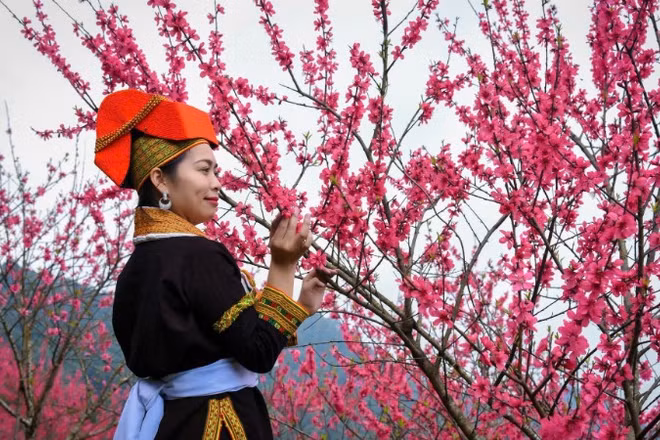 Lễ hội tôn vinh giá trị cây đào xứ Lạng - biểu tượng của mùa xuân, sức sống và nét đẹp văn hóa truyền thống miền biên viễn. (Ảnh: BTC)