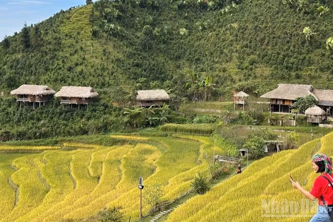 Một khu Homestay Bản Liền, tỉnh Lào Cai. (Ảnh: THANH SƠN)