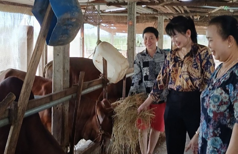 Chị Phạm Thị Mến, ấp Xóm Lò vươn lên thoát nghèo nhờ nguồn vốn tín dụng chính sách đầu tư nuôi bò (Ảnh NHCC) chi-pham-thi-men-hoi-vien-phu-nu-chi-hoi-phu-nu-ap-xom-lo-xa-tien-thuan-ben-dan-bo-cua-minh-chi-dau-tien-dung-ben-trai.jpg