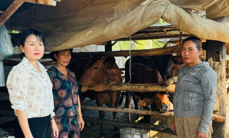 Chị Đoàn Thị Bé, ấp Thuận Hòa (bên phải) đã thoát nghèo nhờ nguồn vốn tín dụng nuôi bò. (Ảnh NHCC) chi-doan-thi-be-hoi-vien-phu-nu-chi-hoi-phu-nu-ap-thuan-hoa-xa-loi-thuan-ben-dan-bo-cua-minh-chi-dau-tien-dung-ben-phai.jpg